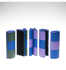 Green/Blue/Lavender Rollover Case - Medium size