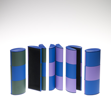 Green/Blue/Lavender Rollover Case - Medium size