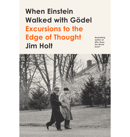 When Einstein Walked with Gödel (Hardcover)