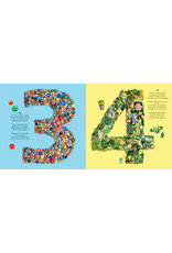 I Spy 123: Totally Crazy Numbers!