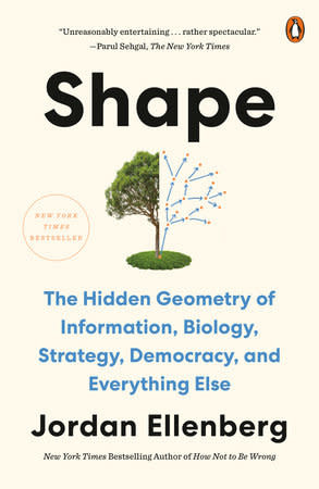 BODV Shape: The Hidden Geometry of Information, Biology, Strategy, Democracy, by Jordan Ellenberg