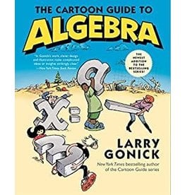 The Cartoon Guide to Algebra