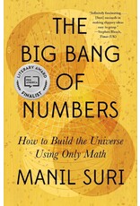 The Big Bang of Numbers (Hardcover)