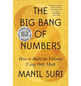 The Big Bang of Numbers (Hardcover)