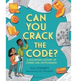 Can You Crack the Code?