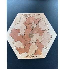 Einstein Puzzle II