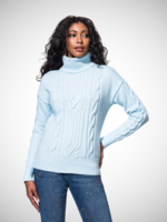 Alison Sheri AS Knit Turtle Neck Sweater