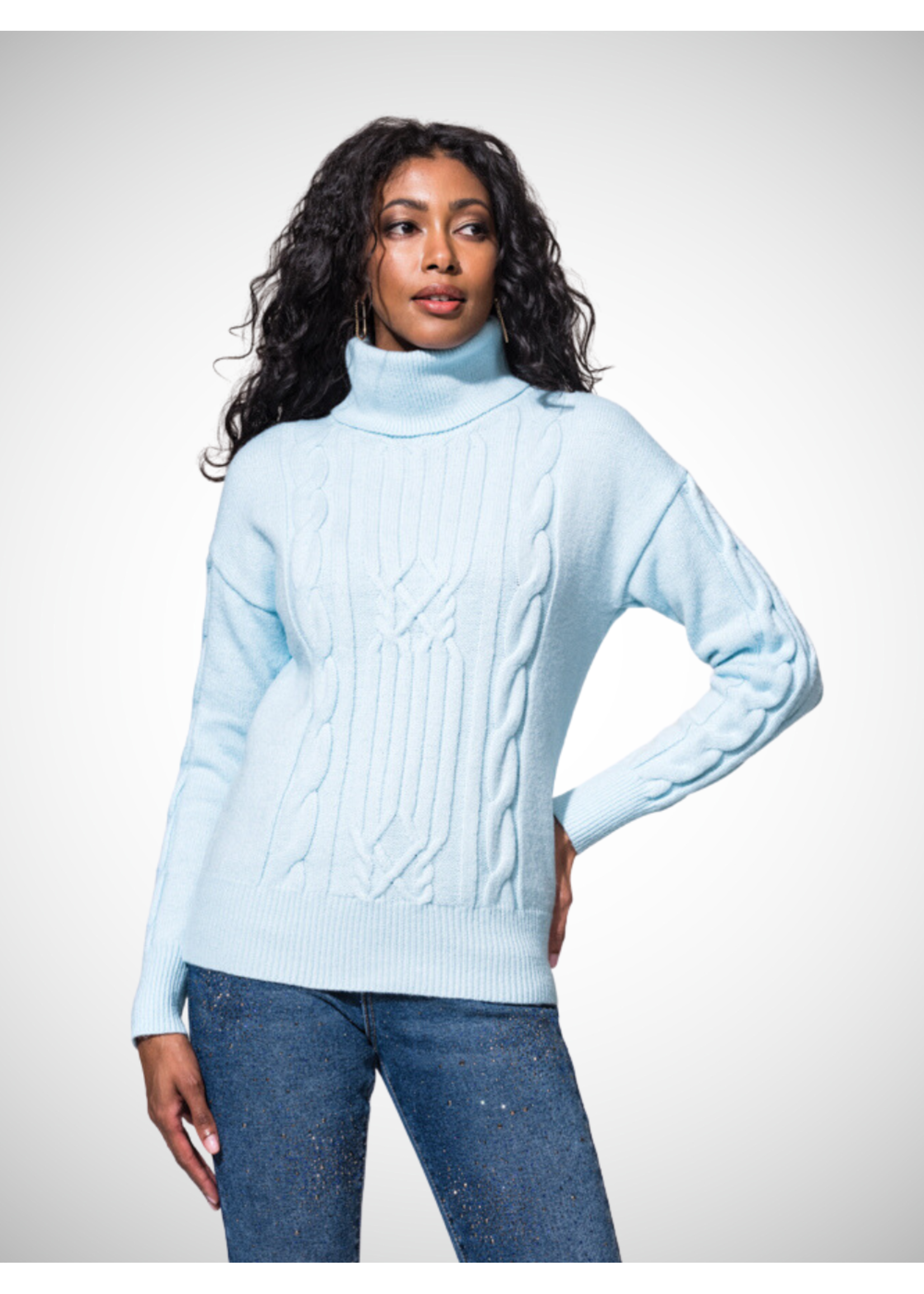 Alison Sheri AS Knit Turtle Neck Sweater