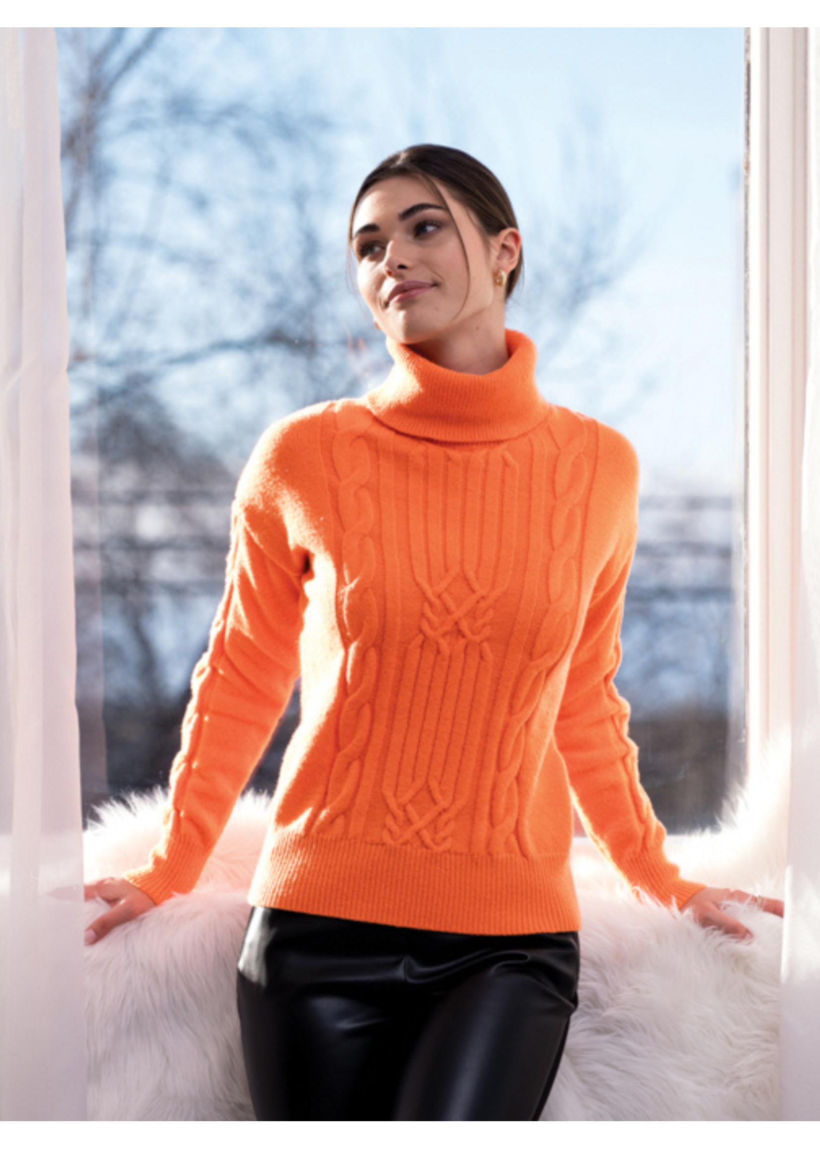 Alison Sheri AS Knit Turtle Neck Sweater