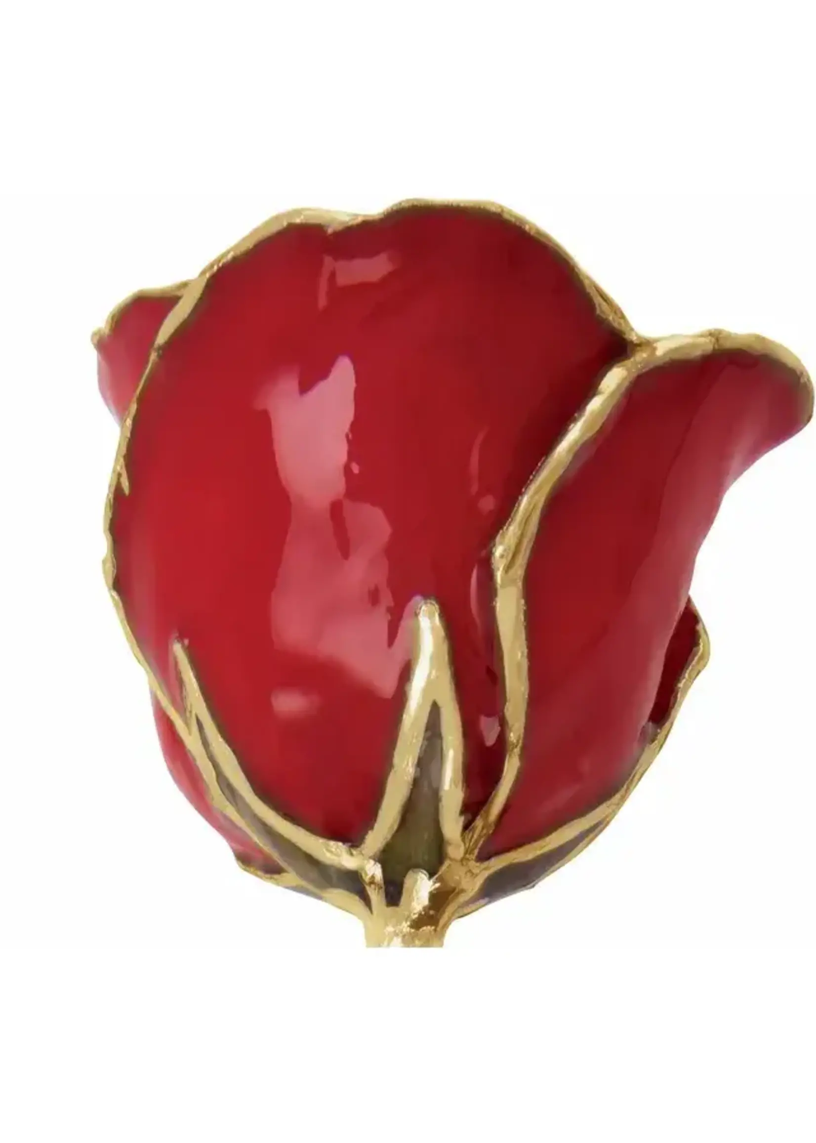 Vintage Real Rose Hand Dipped and Tipped