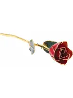 Vintage Real Rose Hand Dipped and Tipped