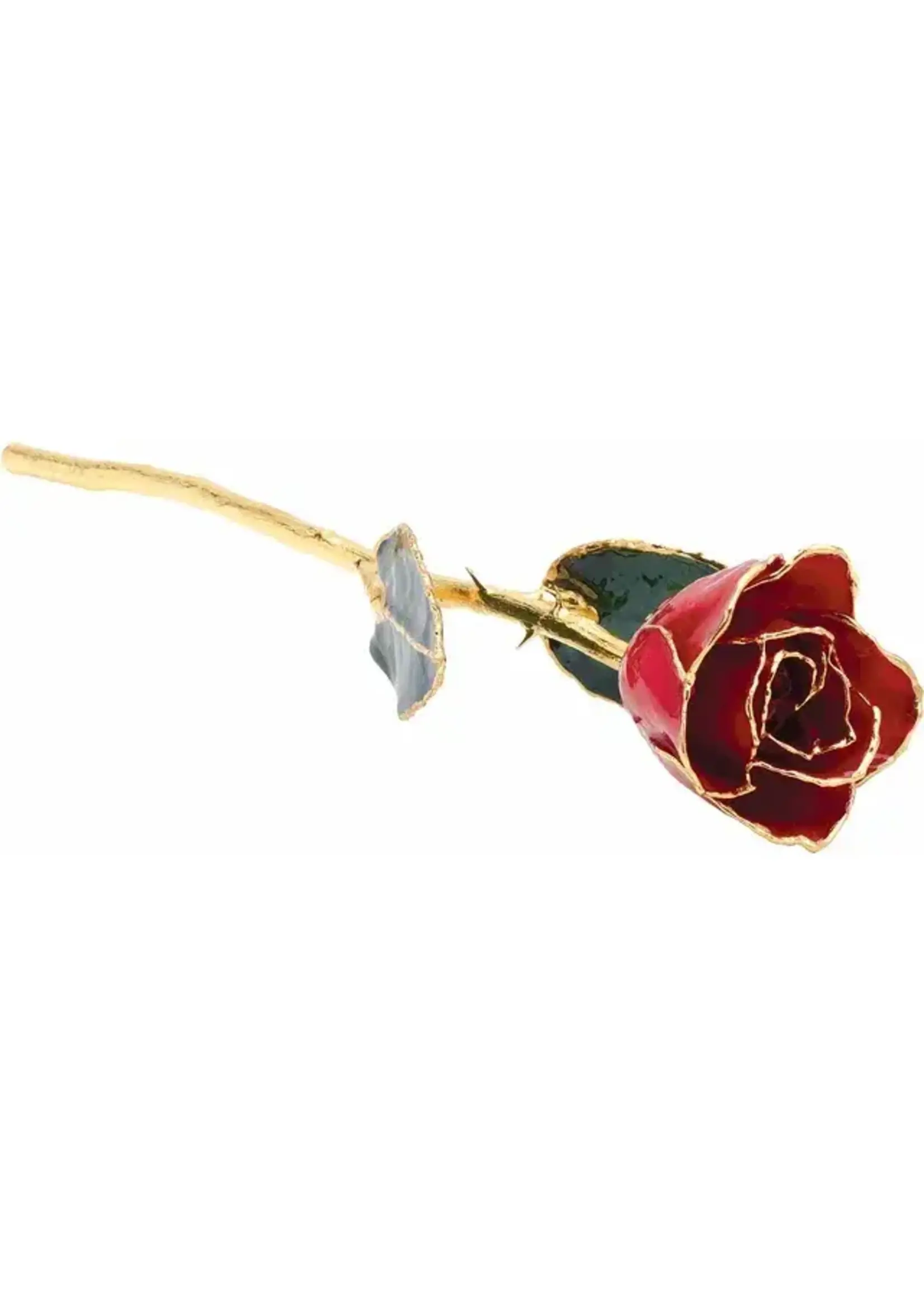 Vintage Real Rose Hand Dipped and Tipped