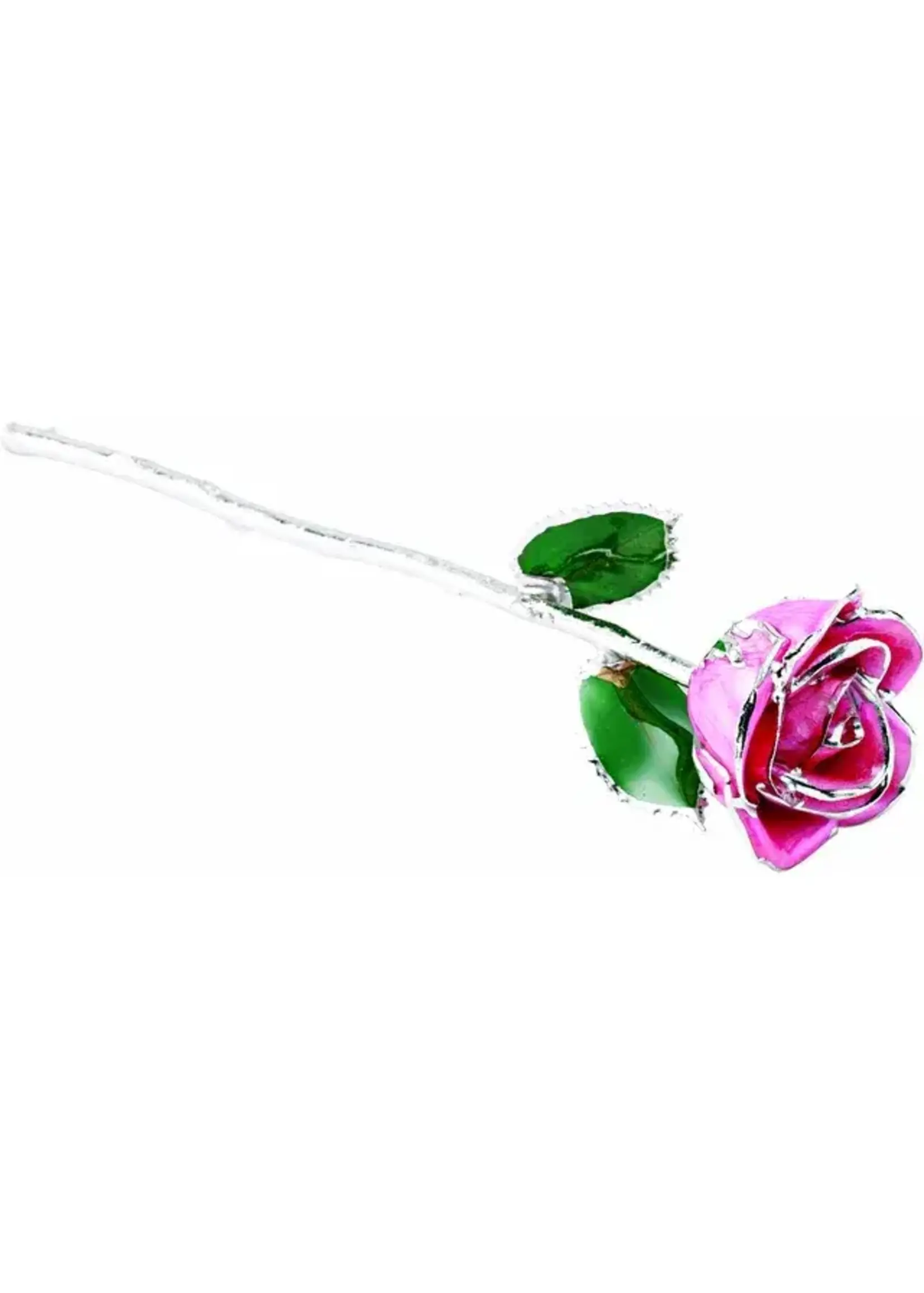 Vintage Real Rose Hand Dipped and Tipped