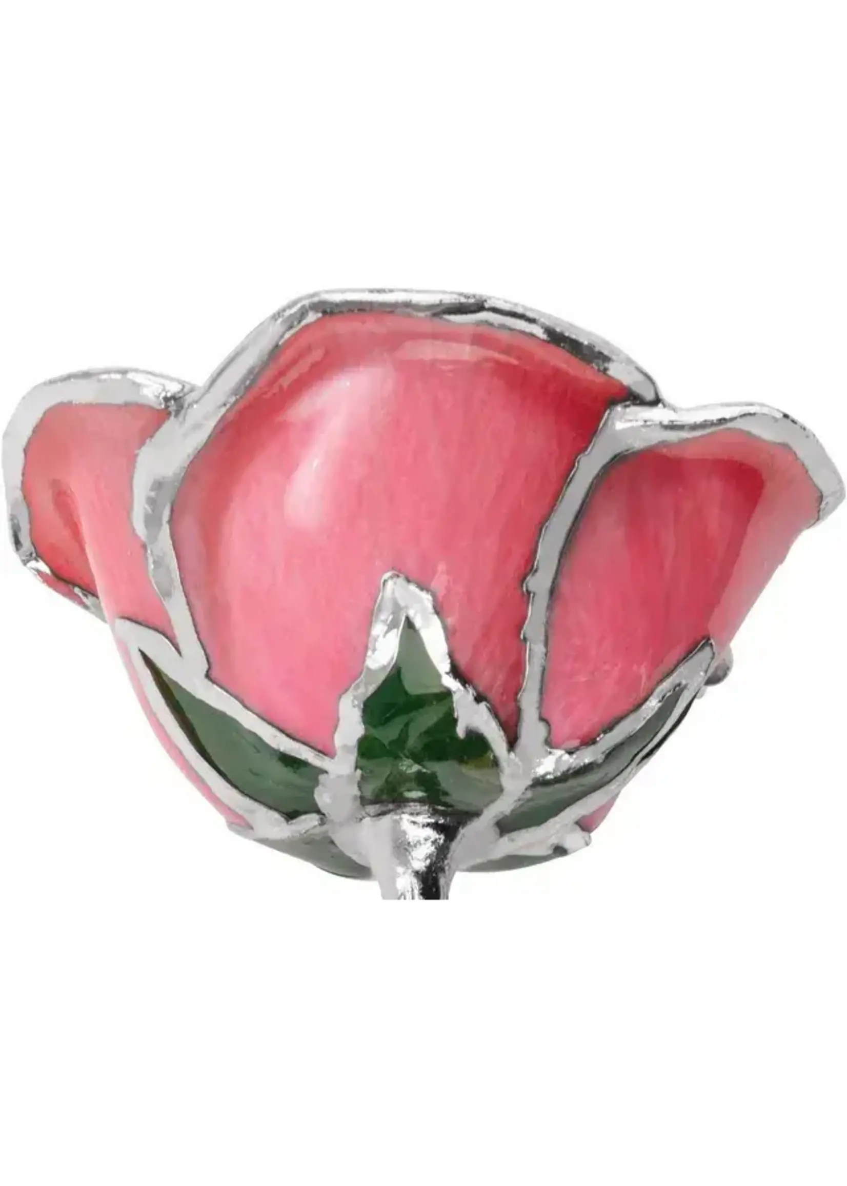 Vintage Real Rose Hand Dipped and Tipped
