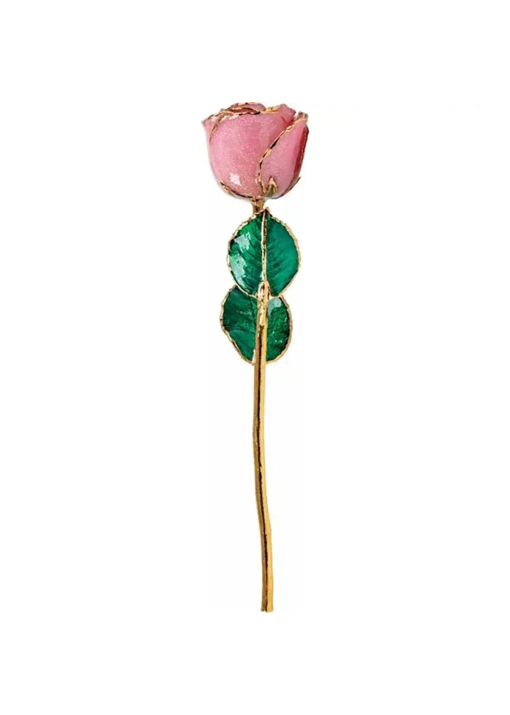 Vintage Real Rose Hand Dipped and Tipped