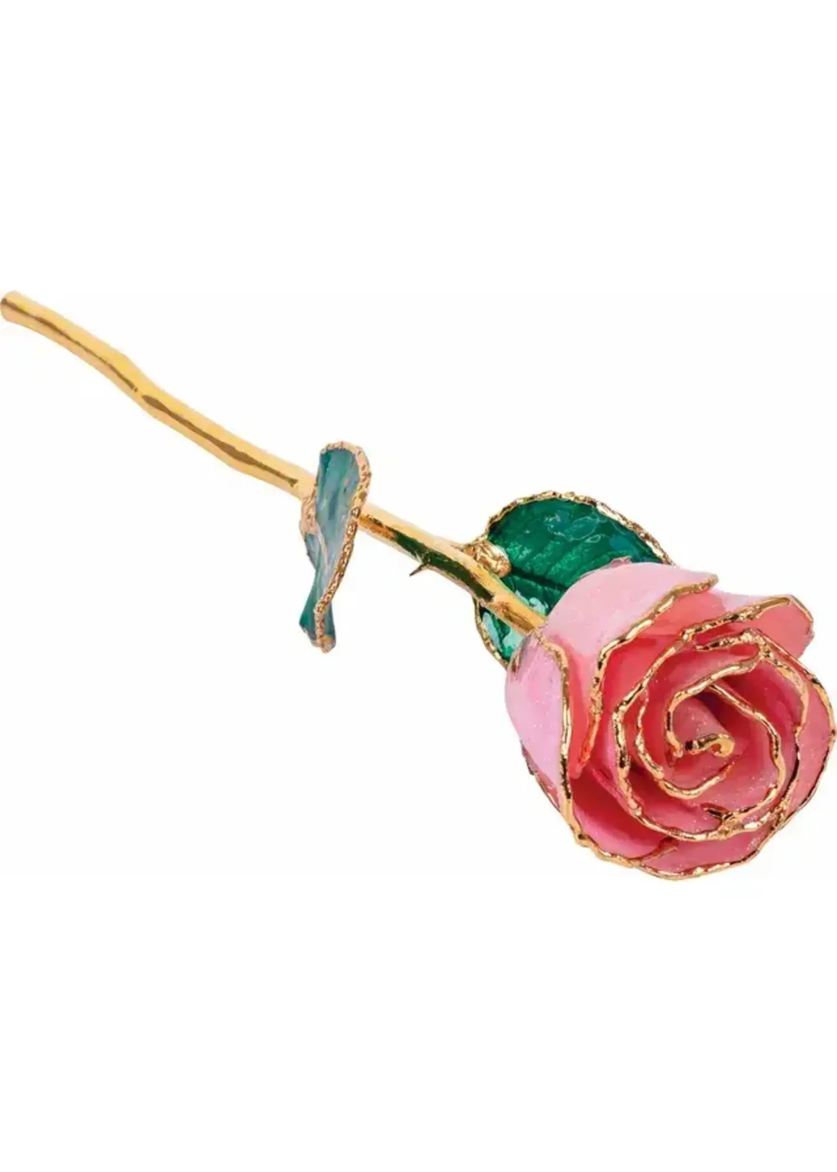Vintage Real Rose Hand Dipped and Tipped