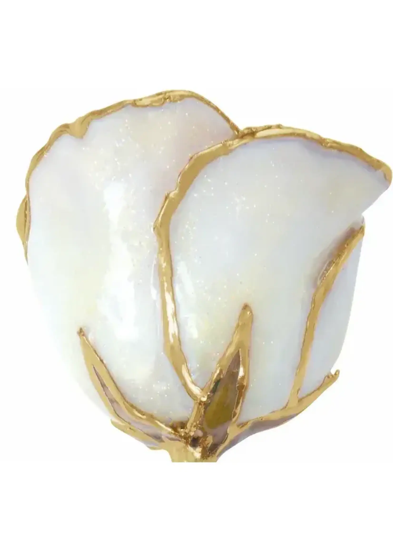 Vintage Real Rose Hand Dipped and Tipped