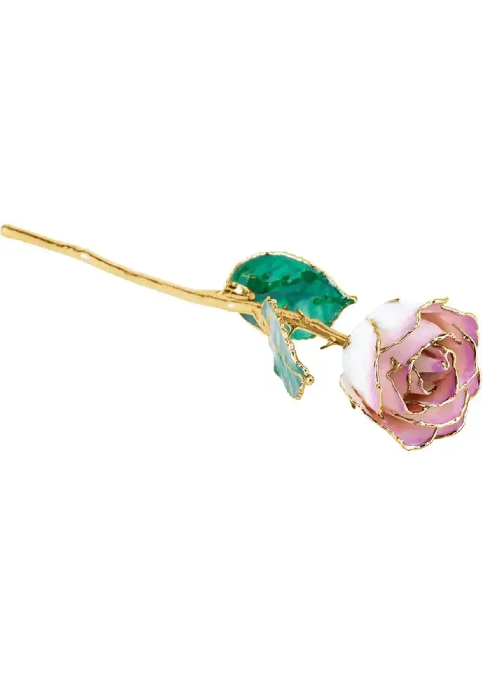 Vintage Real Rose Hand Dipped and Tipped