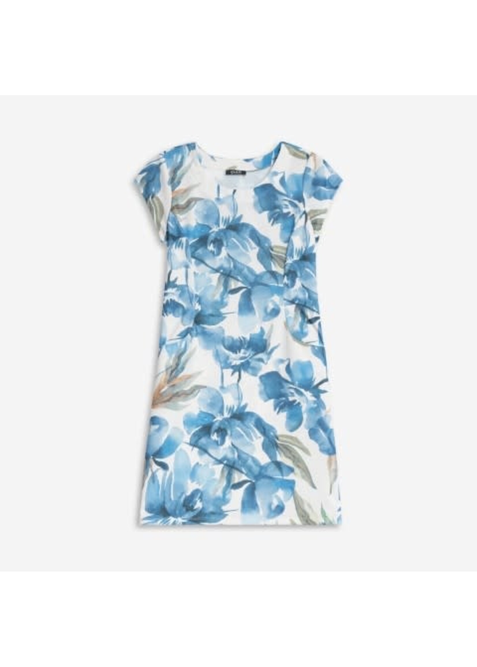 DeVia print dress
