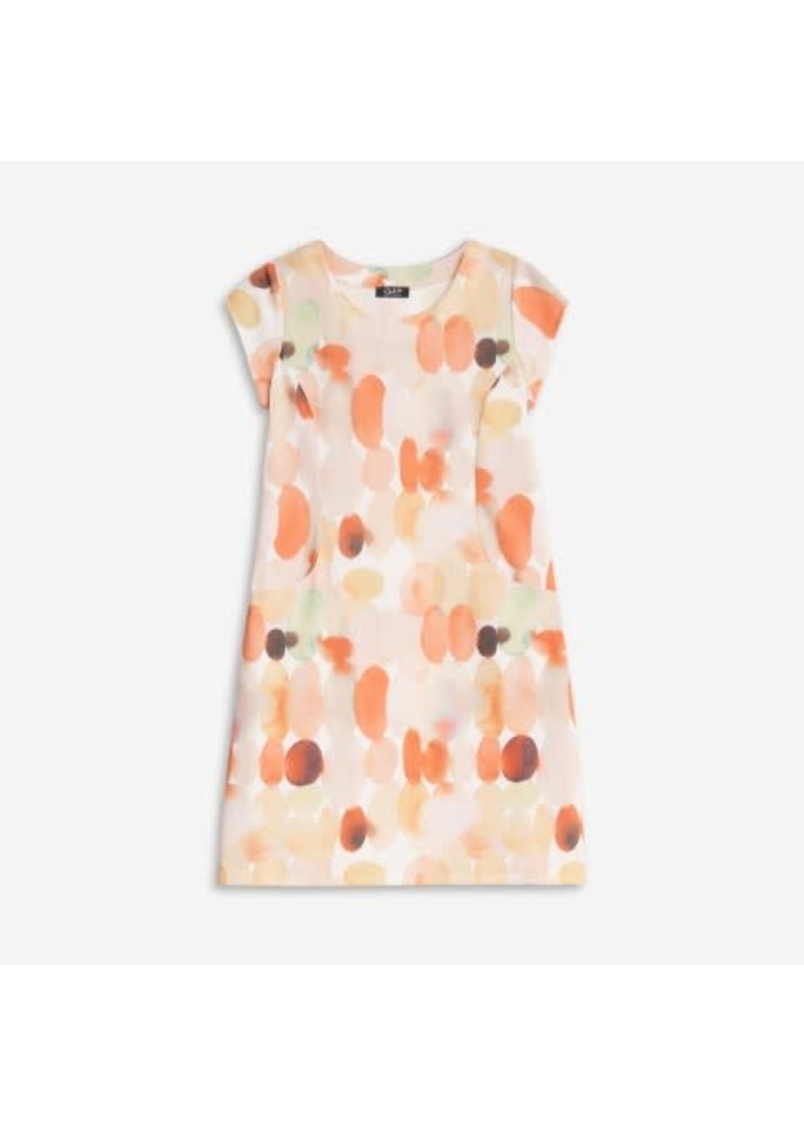 DeVia print dress