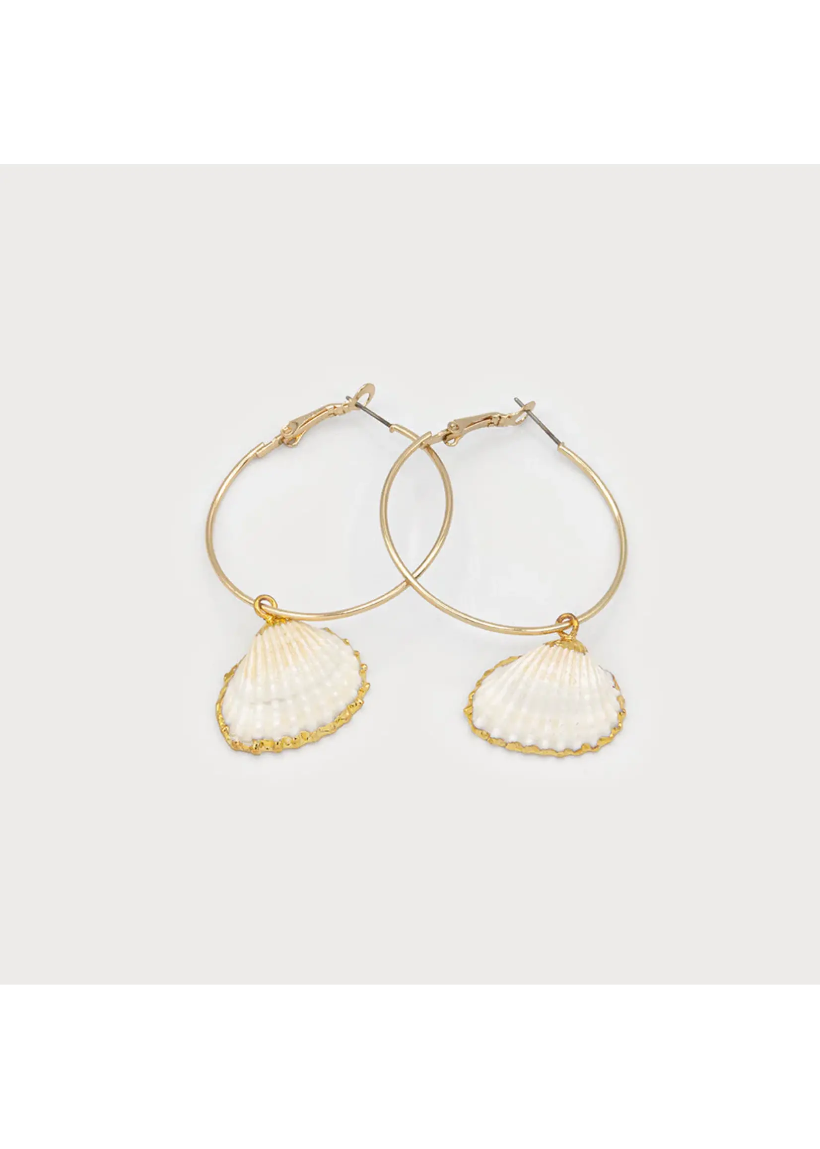 Caracol Gold hoops with Shell