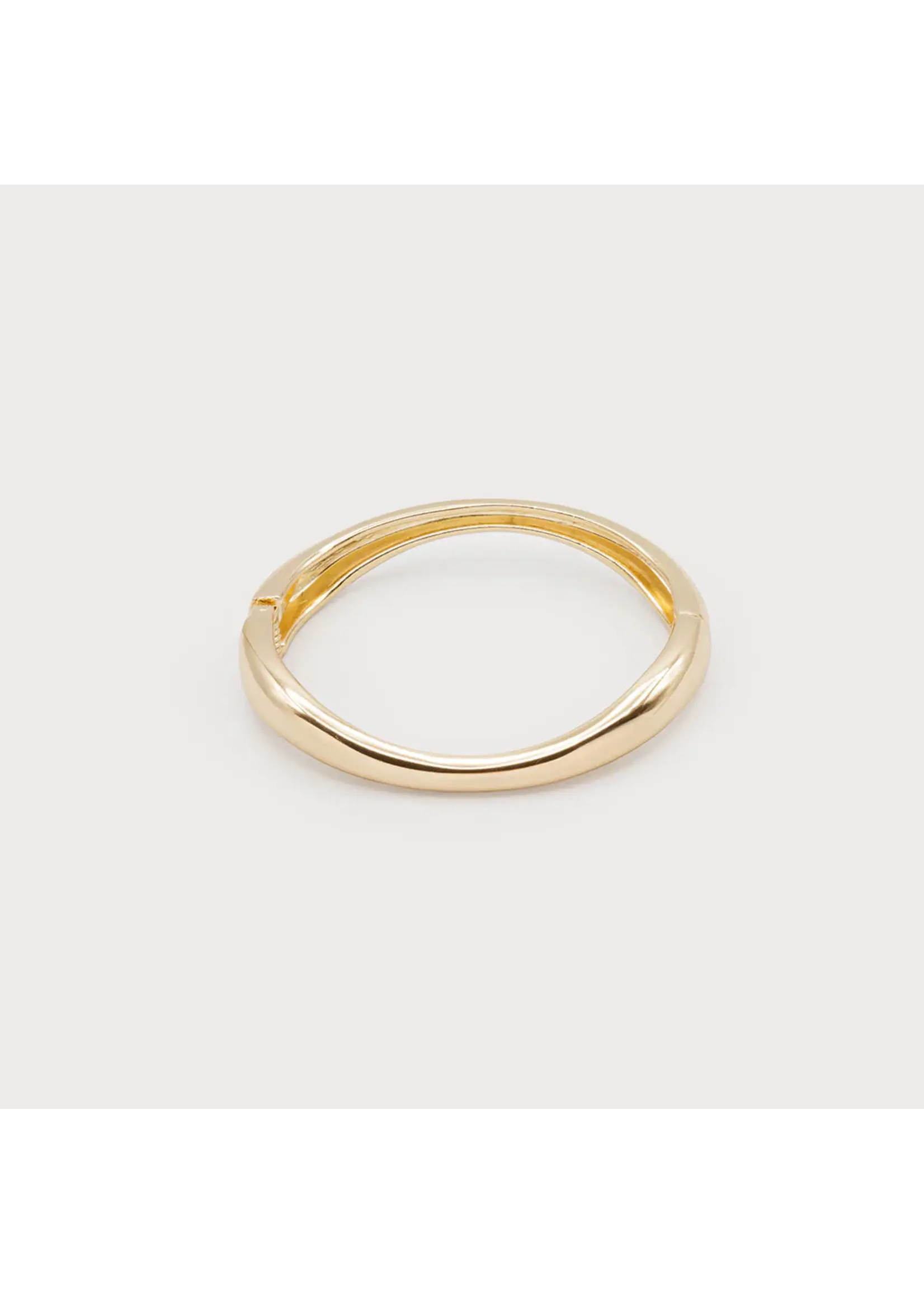 Caracol Narrow Rigid Bangle Bracelet