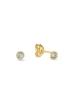 Jackie Gold Jackie Gold 14KY Grimaldi LDN Blutop Studs