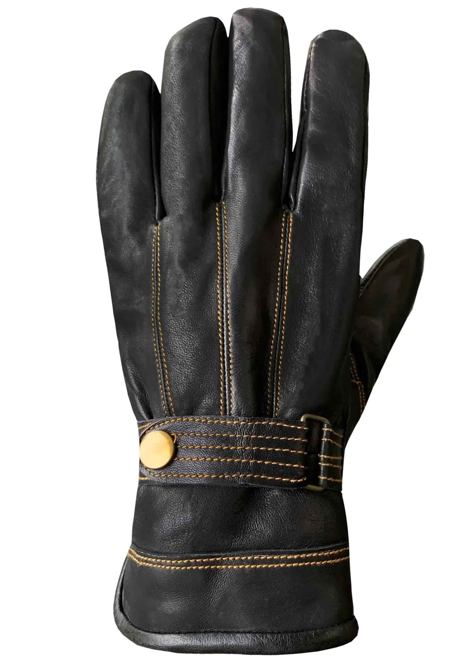 AUCLAIR Leather Gloves