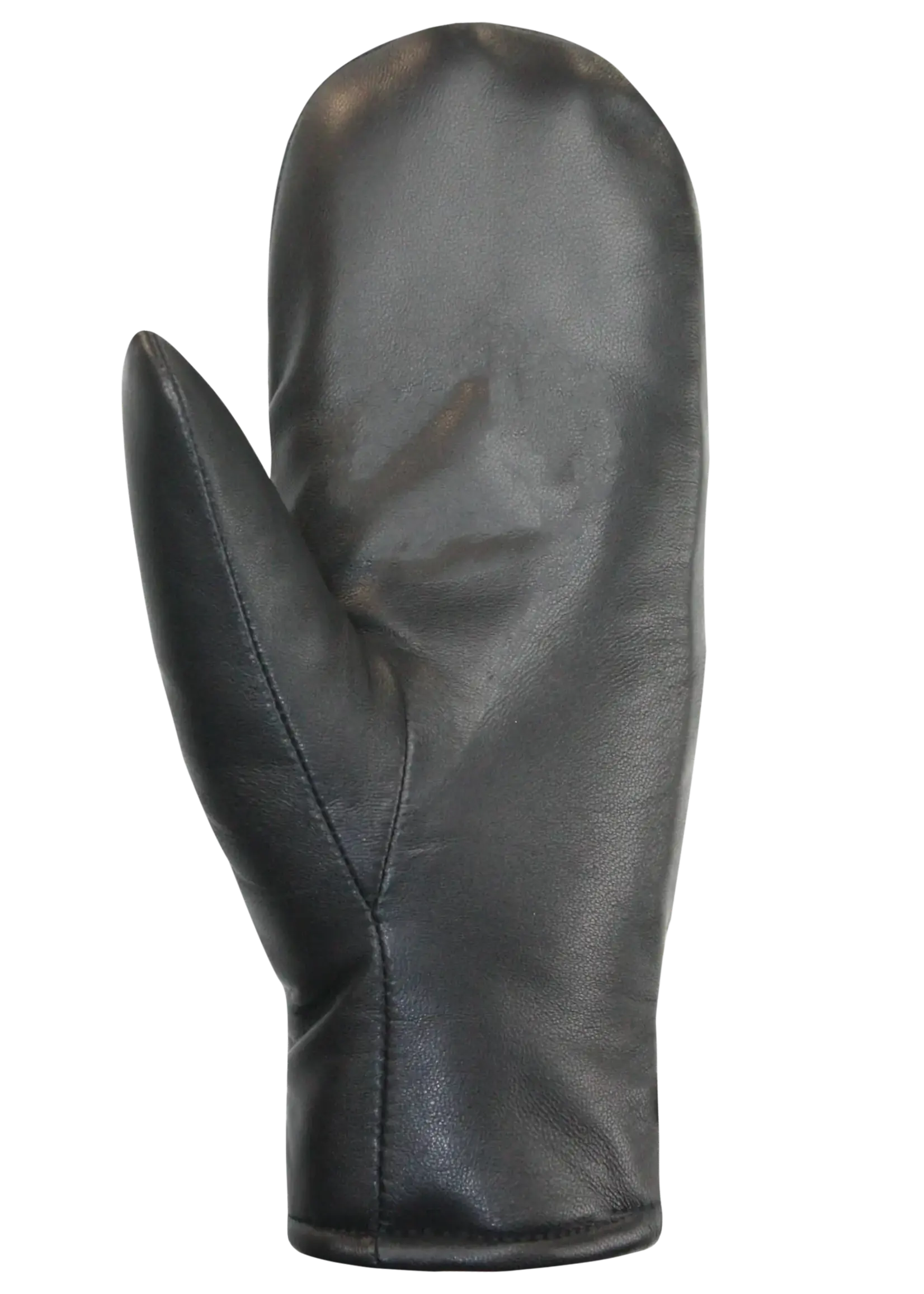 AUCLAIR Leather Gloves