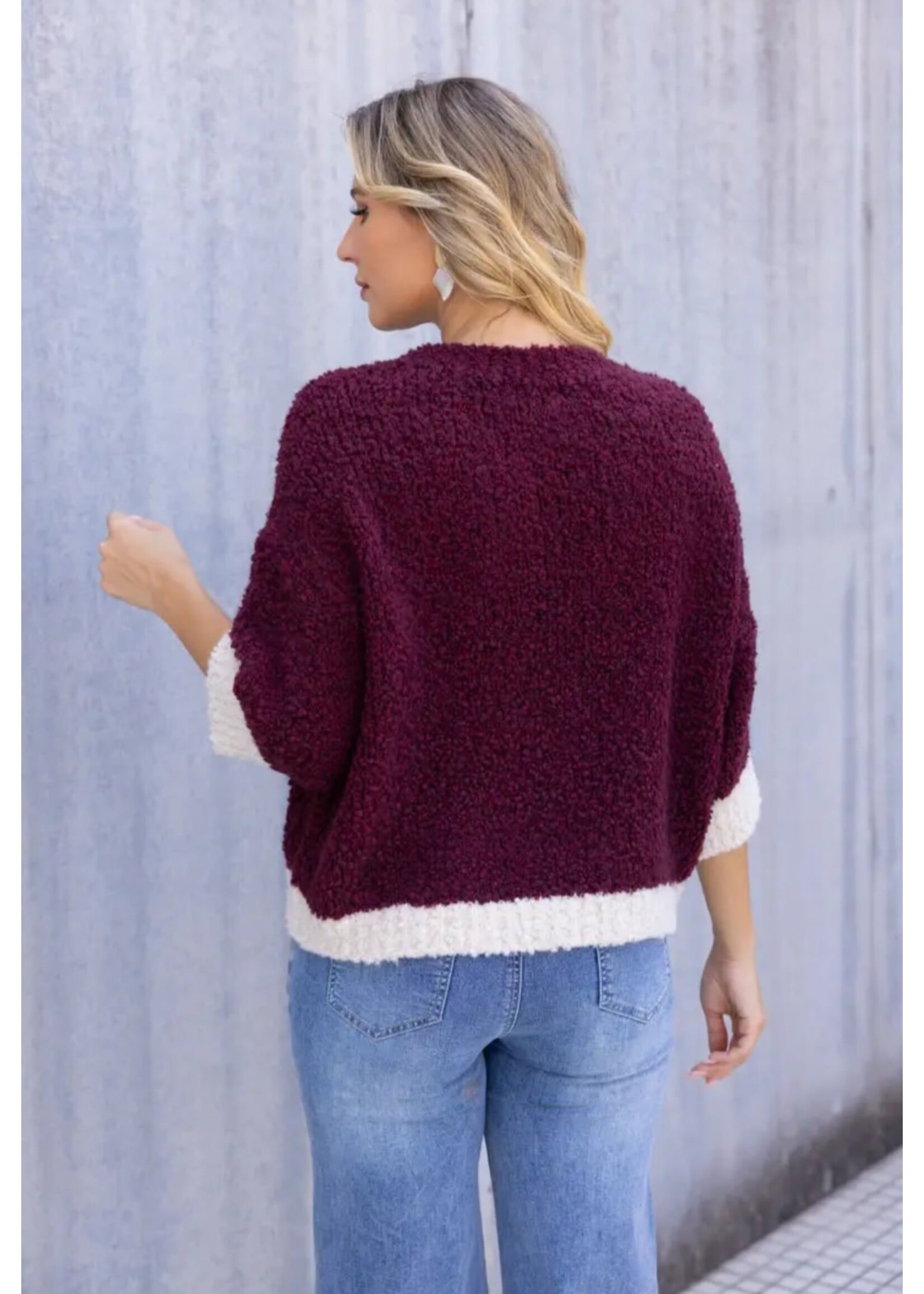 Rosaline Plush Knit Top