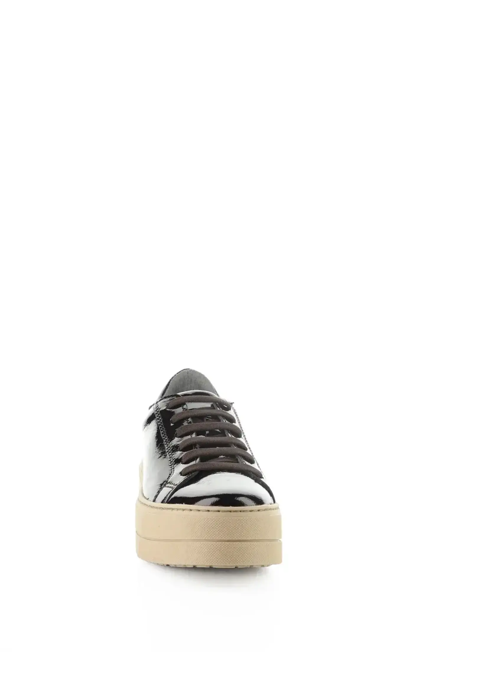 Maya Black/Coffee Shoe