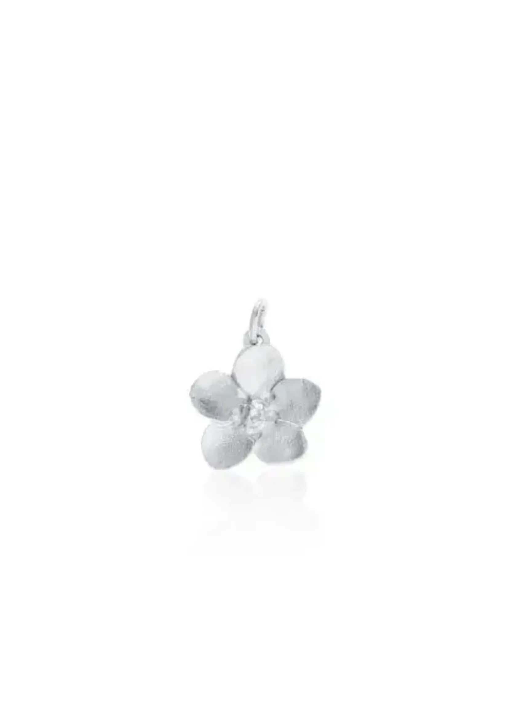 Amos Pewter Amos Pewter Charm