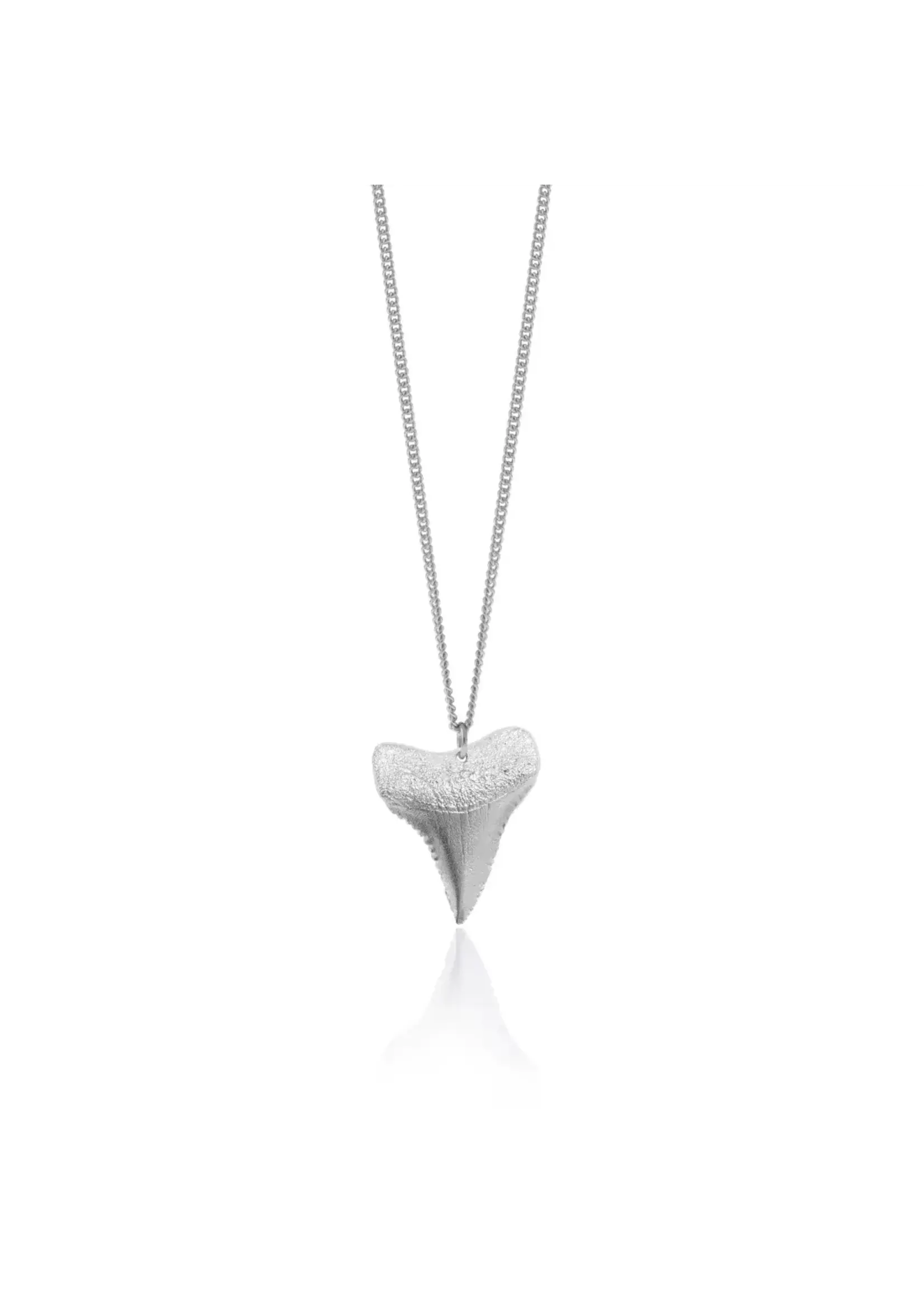 Amos Pewter Amos Pewter Shark Tooth