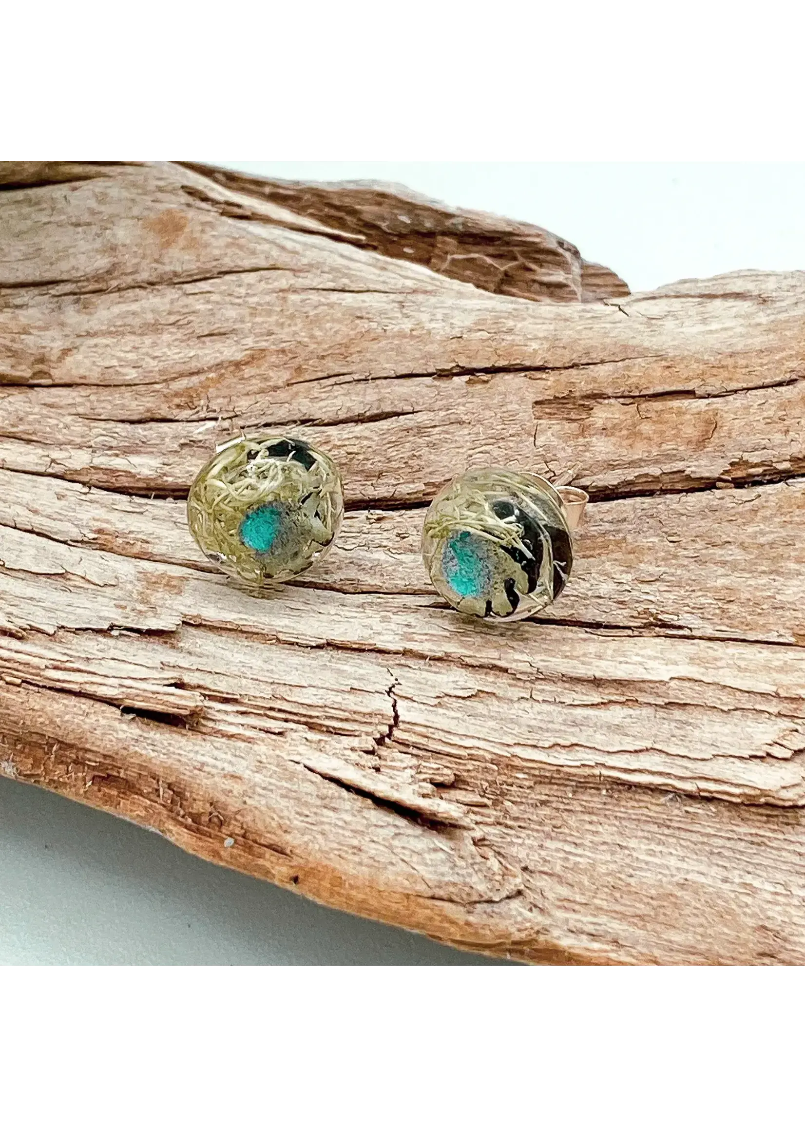 Sea Salt & Twig Sea Salt & Twig The Barrens Studs