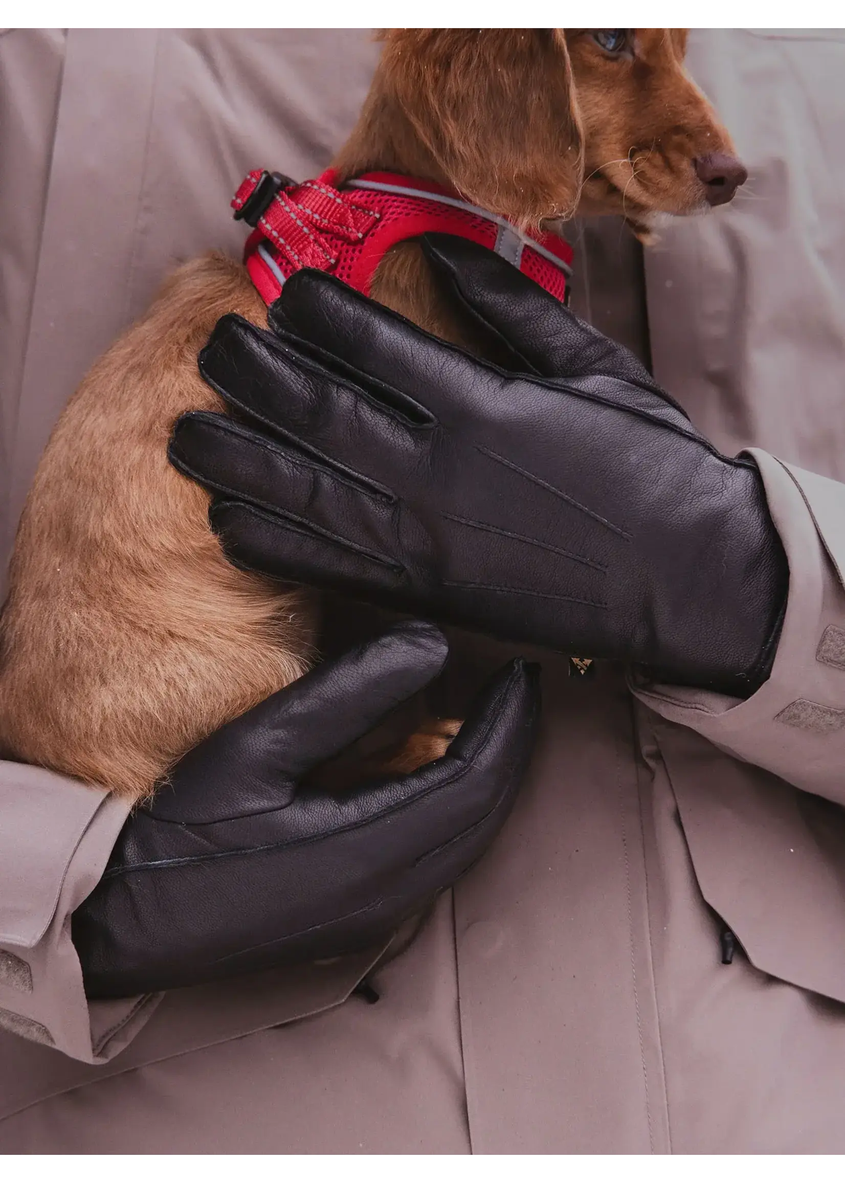 AUCLAIR Auclair Parker Mens Leather Gloves