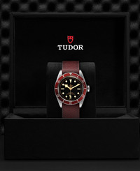 Tudor TUDOR Black Bay  41 mm steel case, Burgundy fabric strap