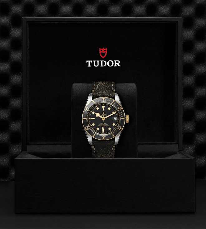 Tudor TUDOR Black Bay S&G  41 mm steel case, Aged leather strap