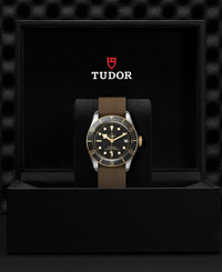 Tudor TUDOR Black Bay S&G  41 mm steel case, Fabric strap