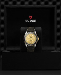 Tudor TUDOR Black Bay S&G  41 mm steel case, Aged leather strap
