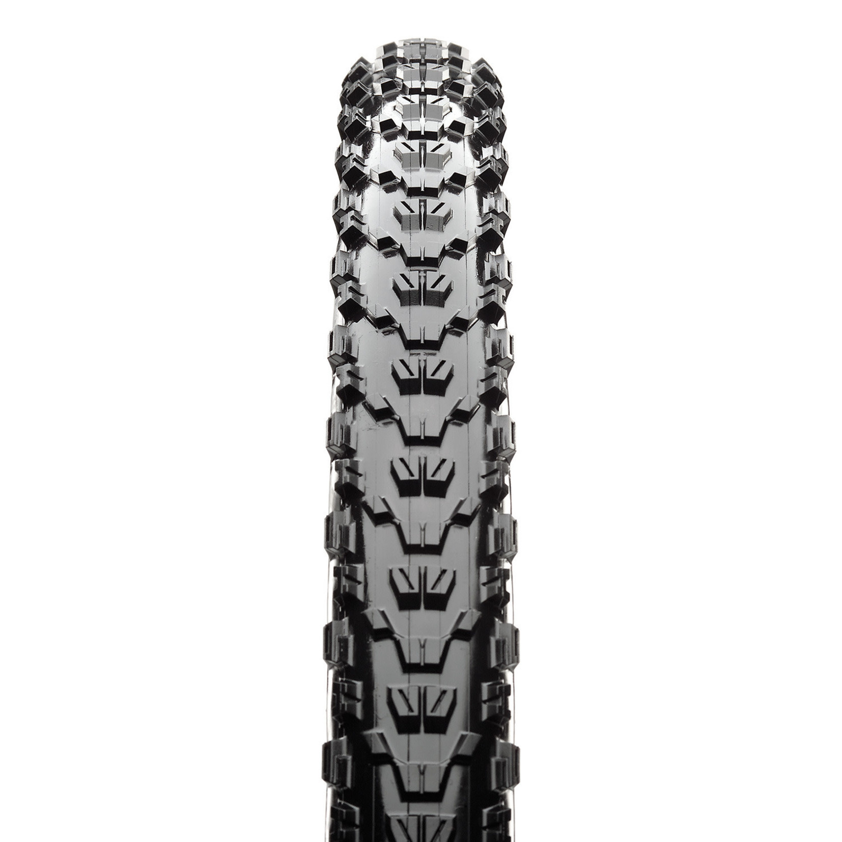 Maxxis Maxxis Ardent TR