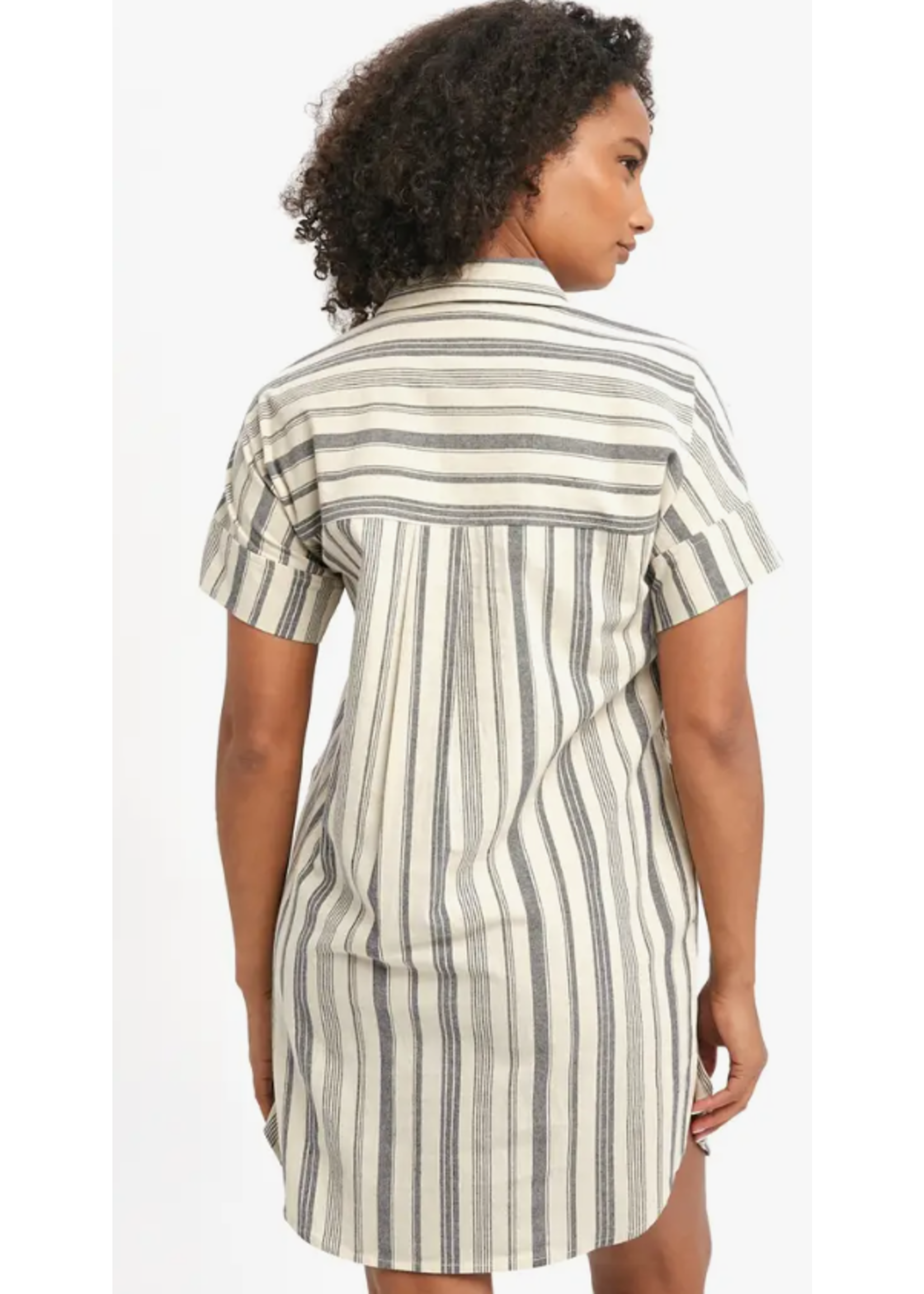 Cruz Striped Dress