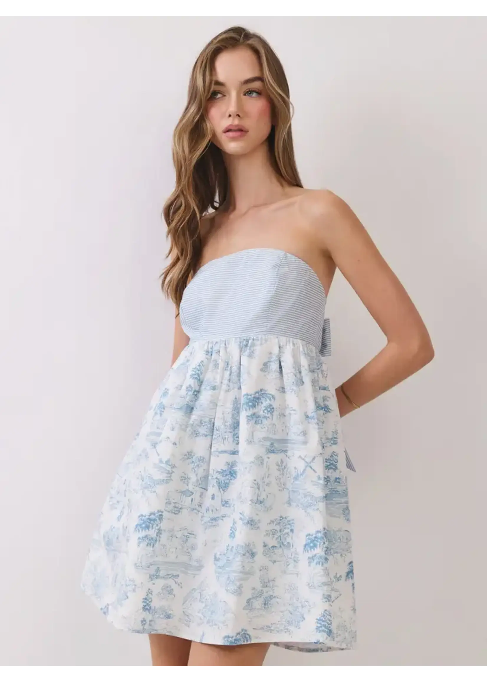 Toile Print Strapless Bow Back Dress