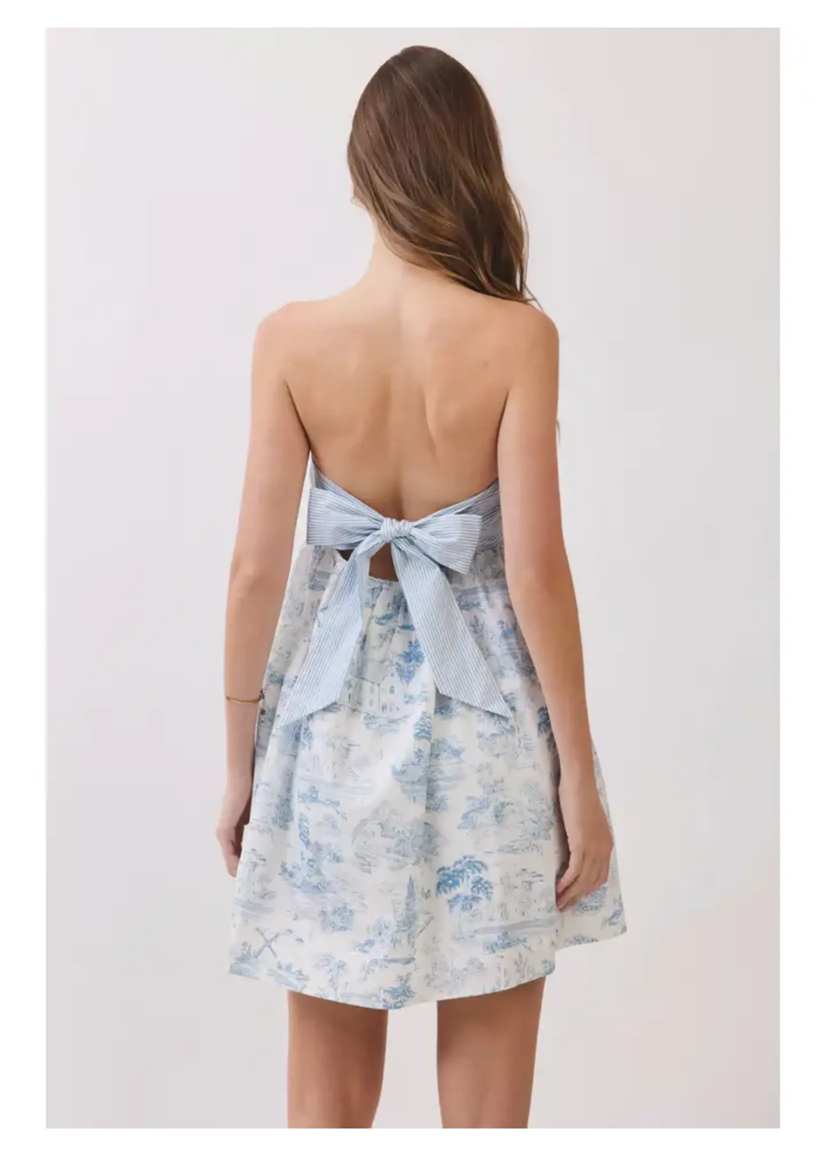 Toile Print Strapless Bow Back Dress