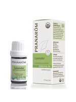 Pranoram Pranarōm Lavender 5ml (Lavendula augustifolia)