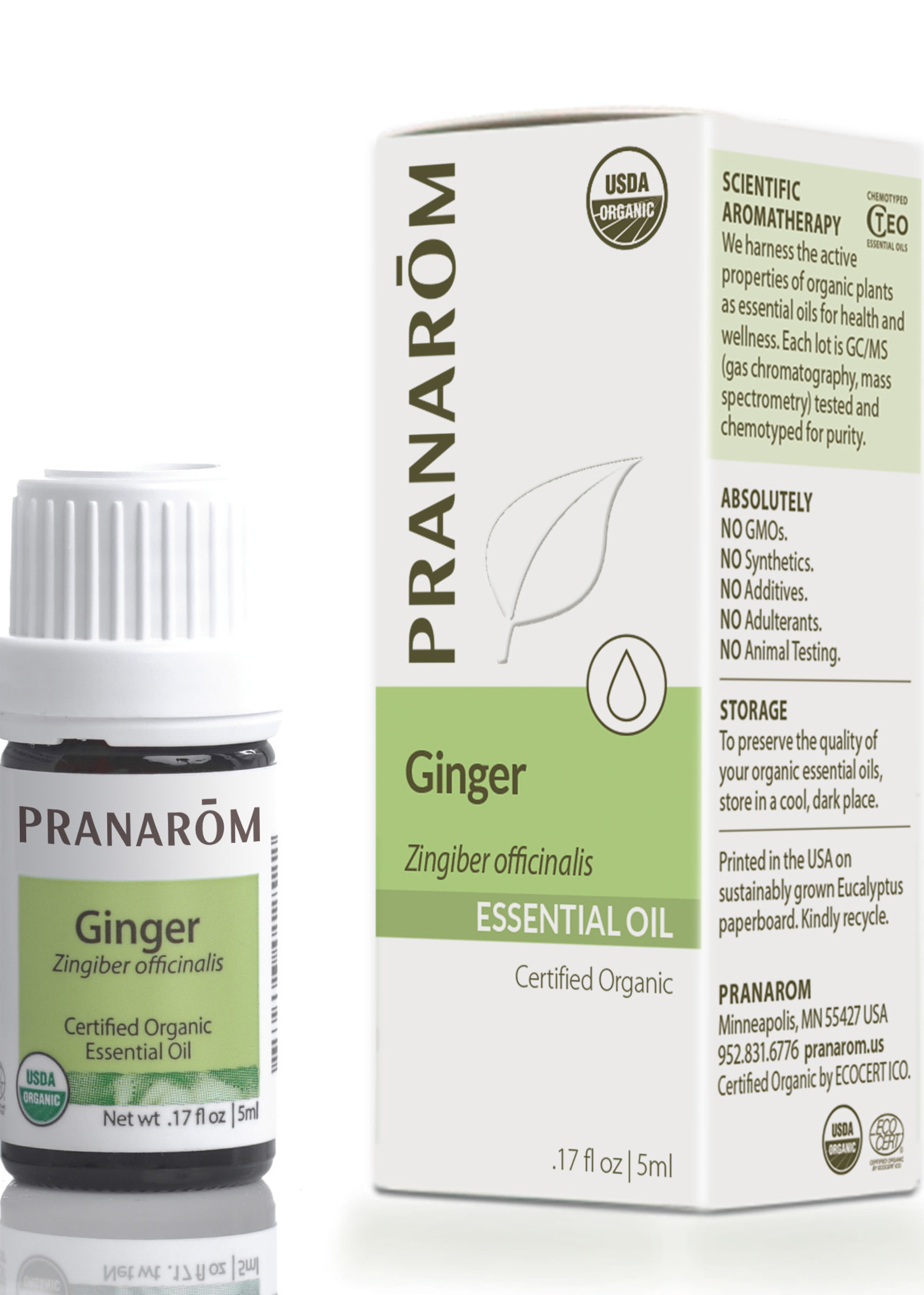 Pranoram Ginger 5ml (Zingiber officinalis)