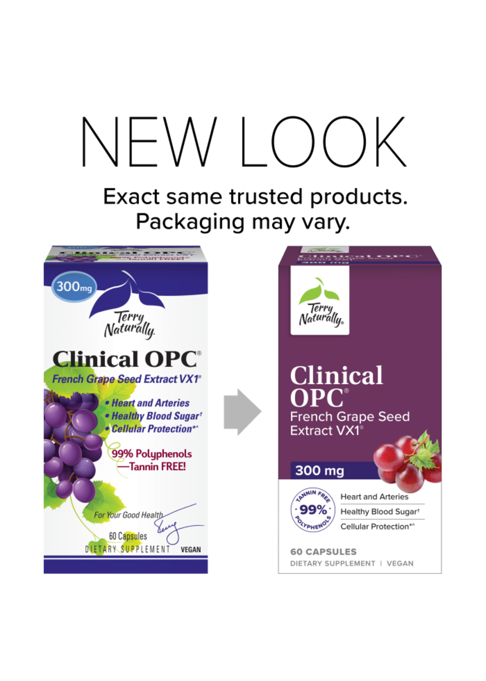 Clinical OPC® 300 mg French Grape Seed Extract VX1®  60 Capsules