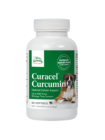 Curacel® Curcumin (DOGS ONLY) (PET)