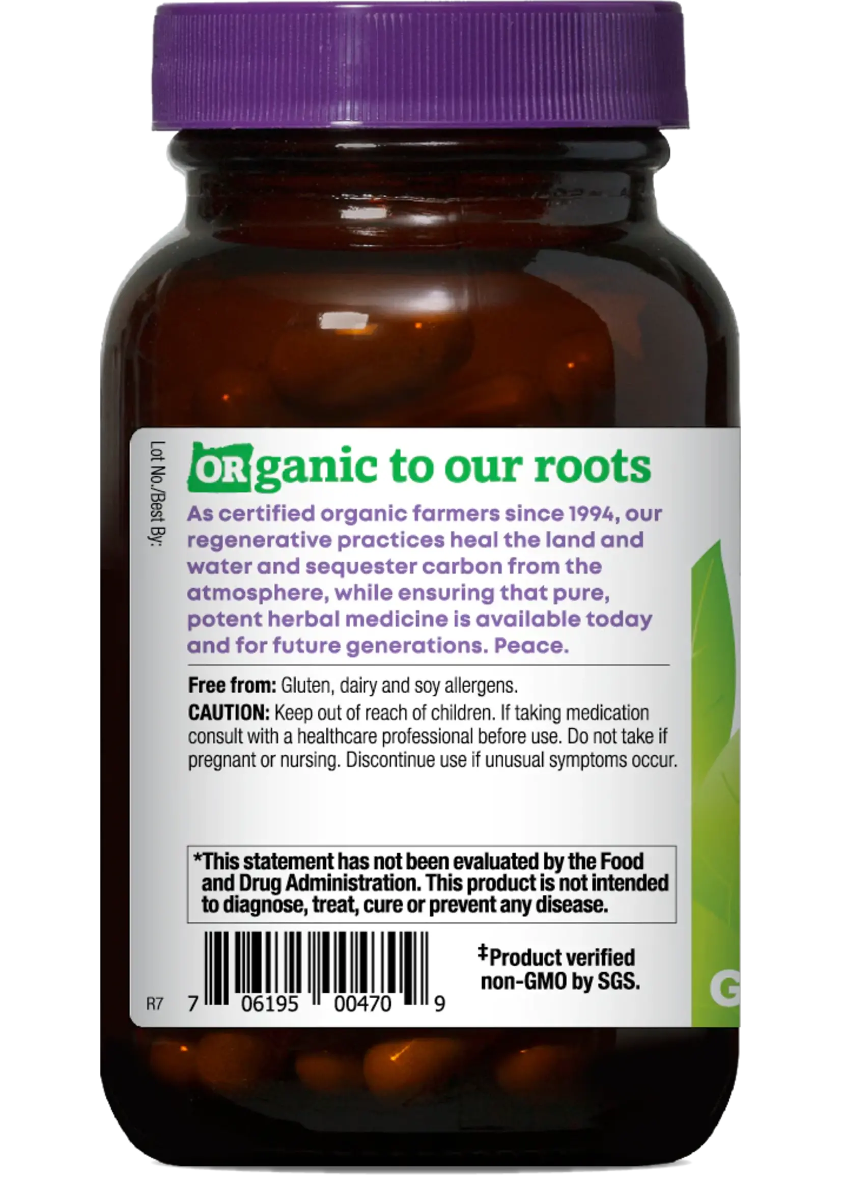 Oregon's Wild Harvest (OWH) OWH Ashwagandha Ginko 90ct