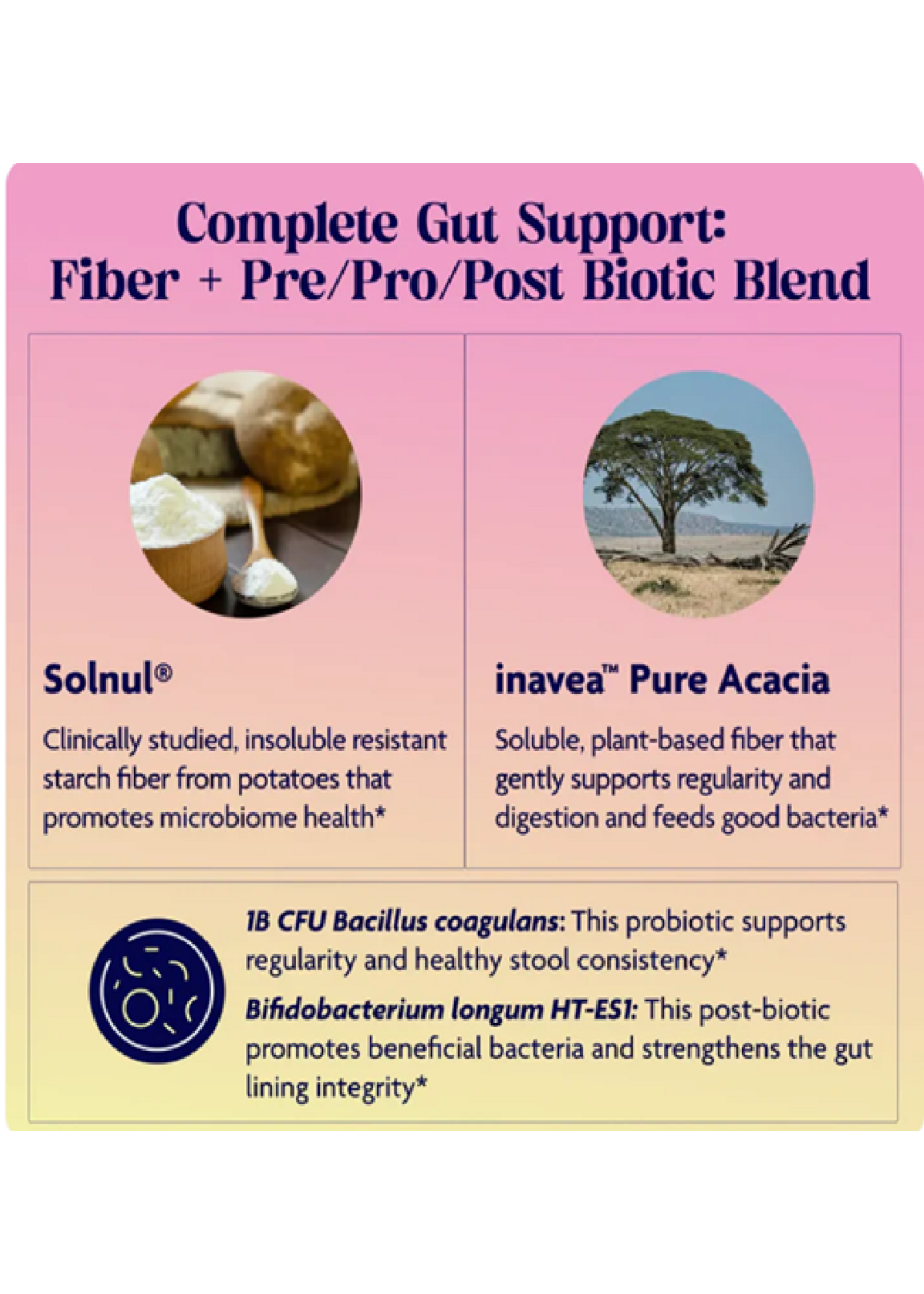 Lets Go Fiber + Tropical - 9.21oz