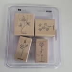 Stampin' Up Stampin' Up - Block Stamps - Sweet Stems